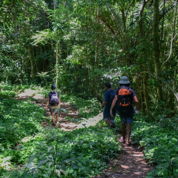 Descubra os atrativos de Ecoturismo próximos à Casamar Ilhabela