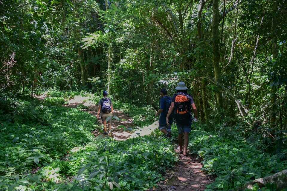 Descubra os atrativos de Ecoturismo próximos à Casamar Ilhabela